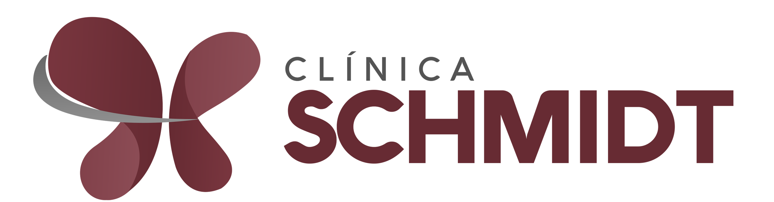 Clínica Schmidt - Pato Branco - PR